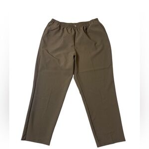 Blair Women's Elastic Waist Pants Size 20W, brown